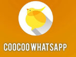 ChooChoo WhatsApp dan Fitur-Fiturnya Secara Lengkap